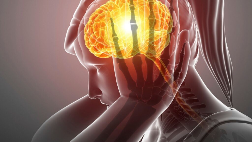 Fêmeas adultas exibem maior resiliência ao estresse. (Foto: Science Photo Library via Canva)