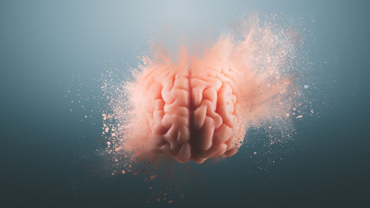 Comer carcaças pode ter impulsionado o cérebro humano. (Foto: Getty Images via Canva)