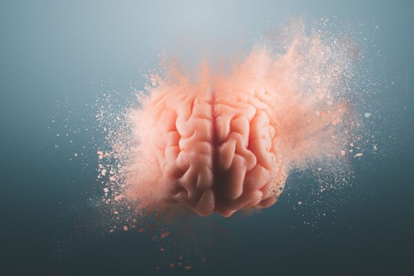 Comer carcaças pode ter impulsionado o cérebro humano. (Foto: Getty Images via Canva)