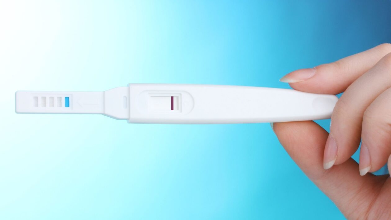 Células e nervos ovarianos influenciam a fertilidade feminina. (Foto: Pixelshot via Canva)