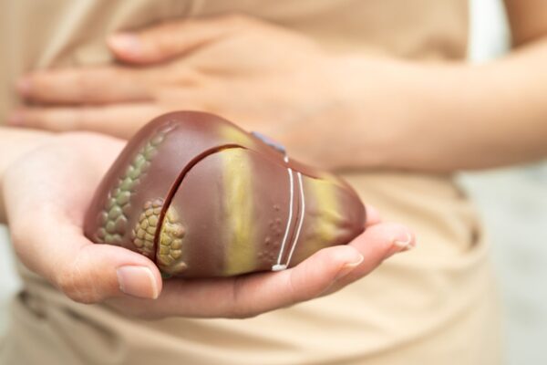 Controle do peso e alimentação protegem a saúde hepática. (Foto: Sasirin Pamai via Canva)