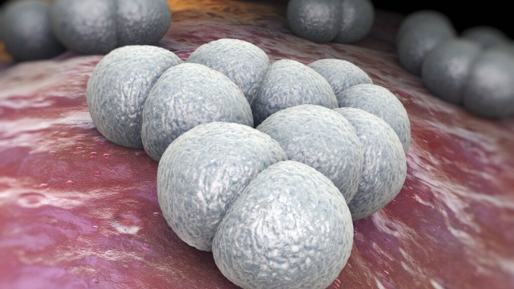 Bactéria meningococo C atinge o cérebro em poucas horas. (Foto: Getty Images via Canva)