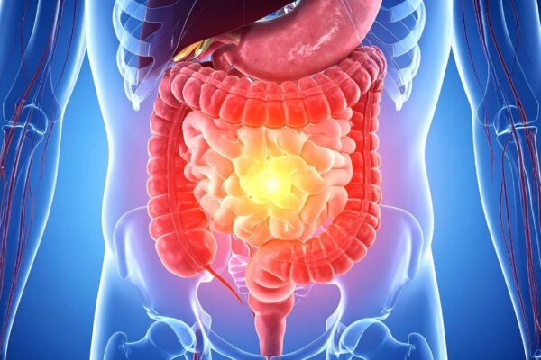 Microbioma intestinal pode influenciar obesidade, diabetes e saúde (Imagem: TrueCreatives/ Canva Pro)
