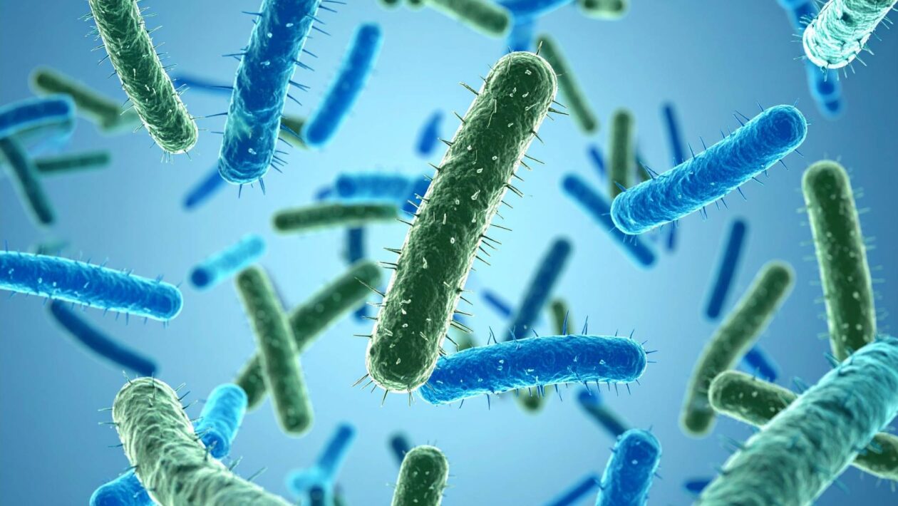 Micróbios nas águas subterrâneas reduzem metano e ajudam o clima (Crédito: TrueCreatives/ Canva Pro)