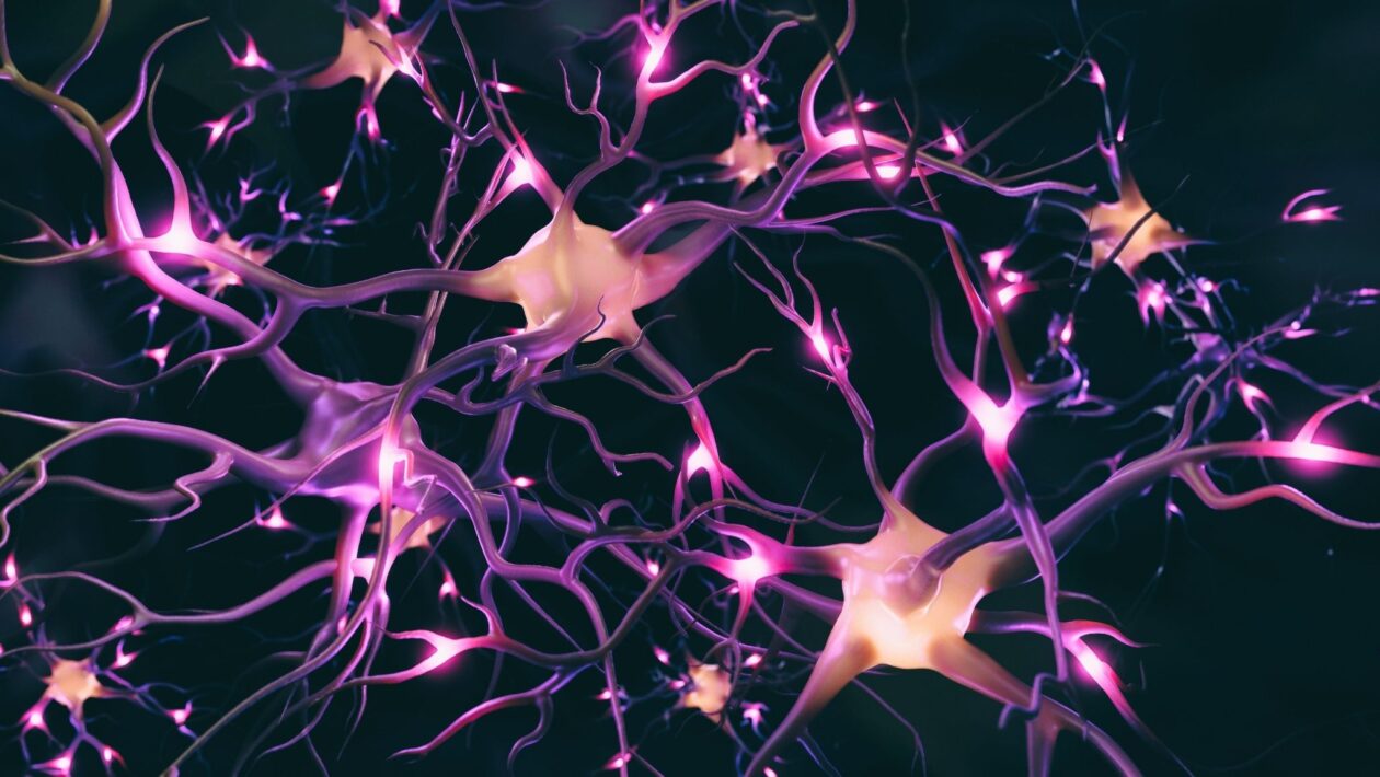 Neurônios artificiais comunicam-se com neurônios biológicos. (Foto: Getty Images via Canva)