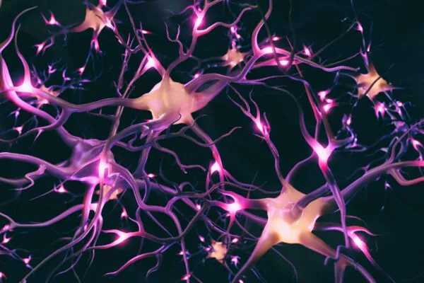 Neurônios artificiais comunicam-se com neurônios biológicos. (Foto: Getty Images via Canva)