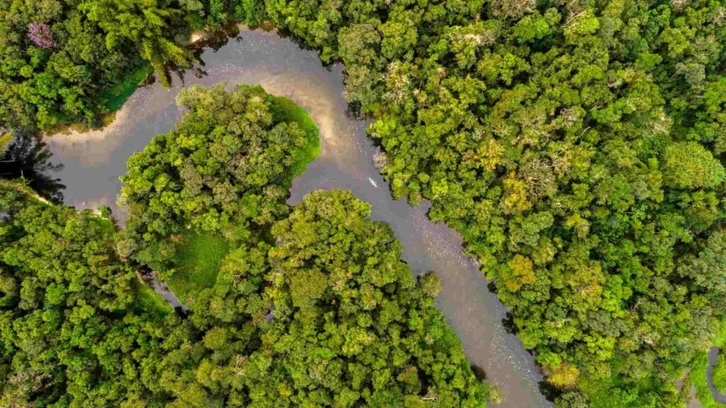 Sumidouros naturais perdem eficiência e aquecimento global acelera (Crédito: Getty Images/ Canva Pro)