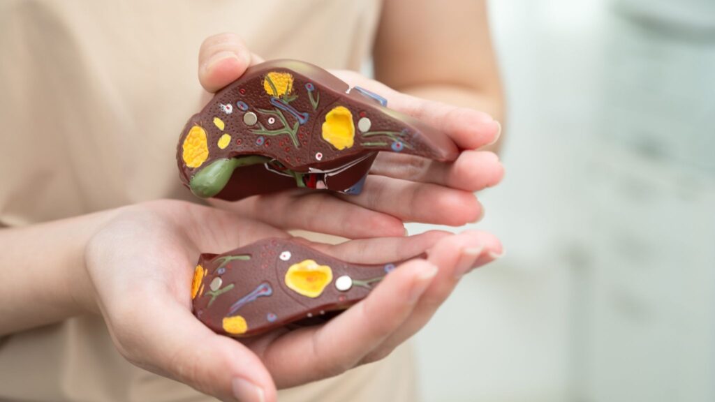 Gordura no fígado pode evoluir para doenças graves. (Foto: Pamai's Images via Canva)