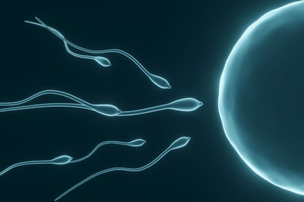 Pesquisa cria óvulos em laboratório para estudo da reprodução. (Foto: Kavic.C / Canva Pro)