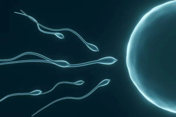 Pesquisa cria óvulos em laboratório para estudo da reprodução. (Foto: Kavic.C / Canva Pro)