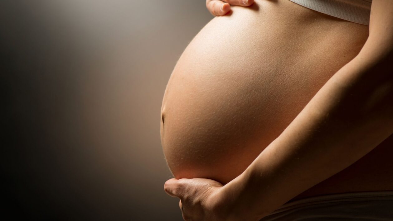Avanço pode proteger gestantes da toxoplasmose. (Foto: Anna Subbotina via Canva)