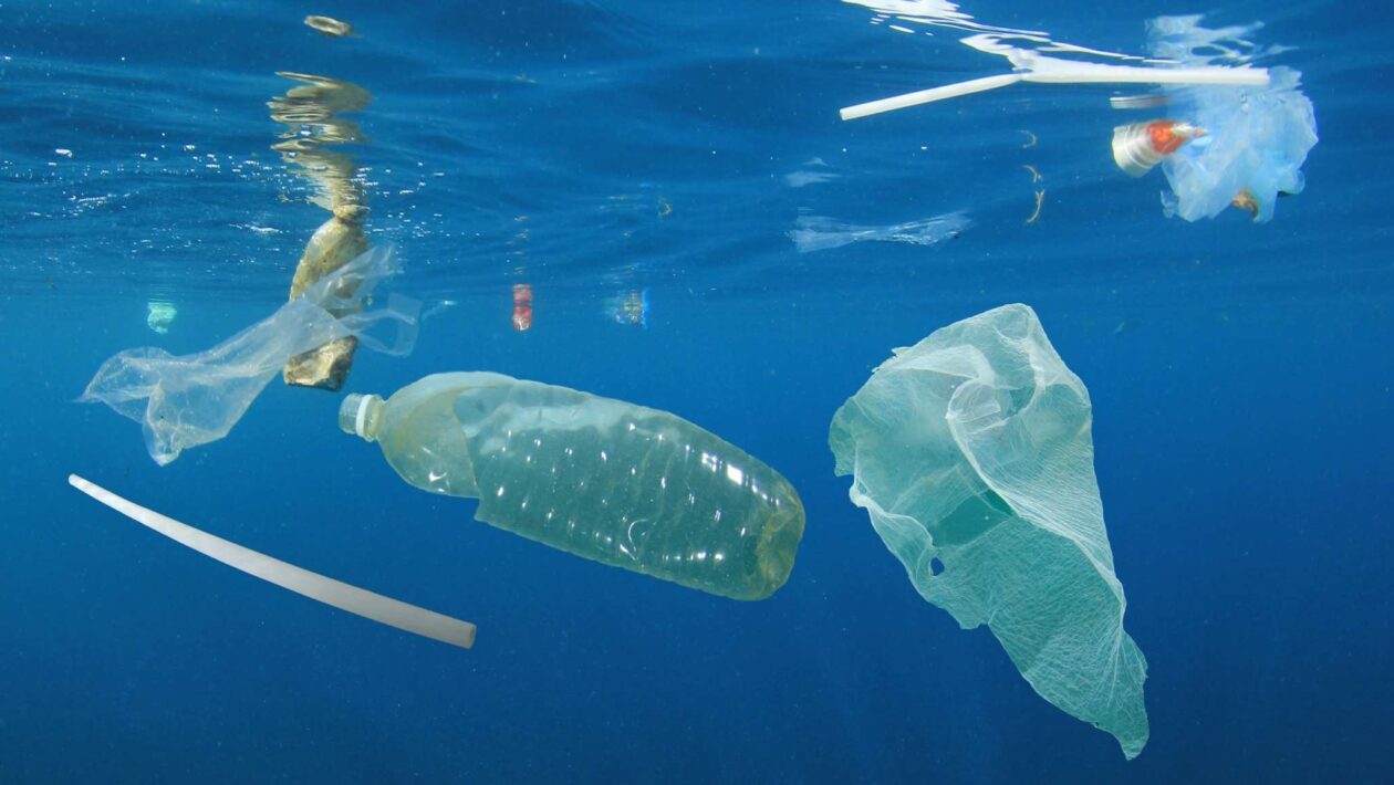 Plásticos nos oceanos podem permanecer por mais de 100 anos (Imagem: Getty Images/ Canva Pro)