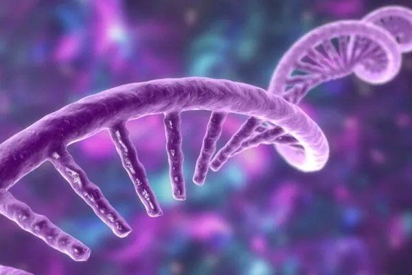 Tecnologia mapeia RNA e proteínas com precisão inédita. (Foto: Science Photo)
