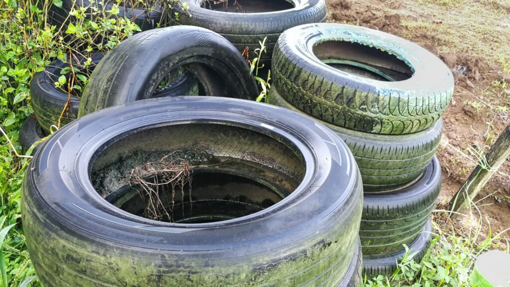Água parada segue como principal foco do mosquito da dengue. (Foto: Getty Images via Canva)