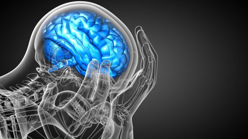 Circuitos cerebrais da amígdala são chave no controle da ansiedade. (Foto: Getty Images via Canva)