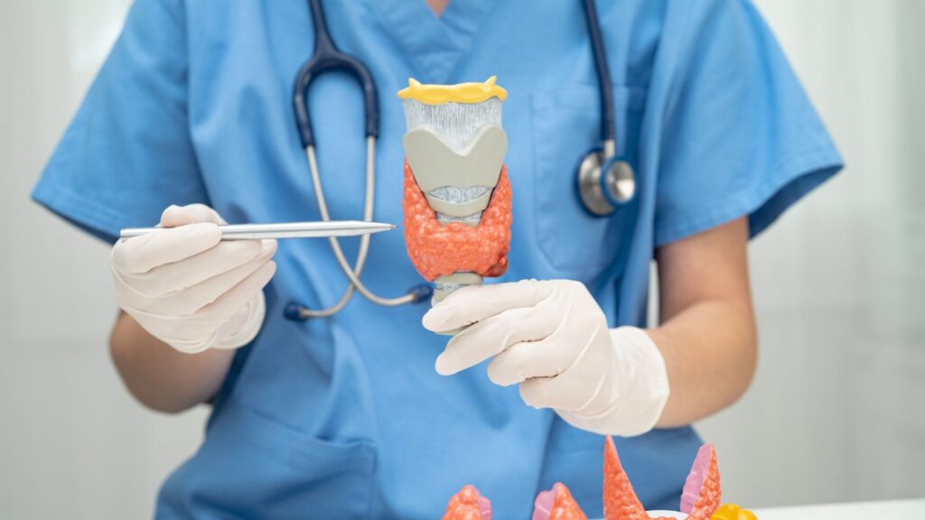 Receptor da tireoide é alvo promissor em terapias. (Foto: Pamai's Images via Canva)