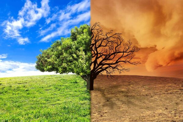 Crise climática acelera e eventos extremos se tornam cada vez mais frequentes (Imagem: Getty Images/ Canva Pro)