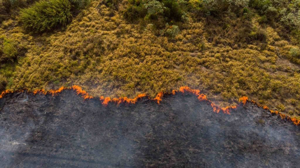 Relatório global alerta: aquecimento recorde exige ação imediata (Imagem: Getty Images/ Canva Pro)
