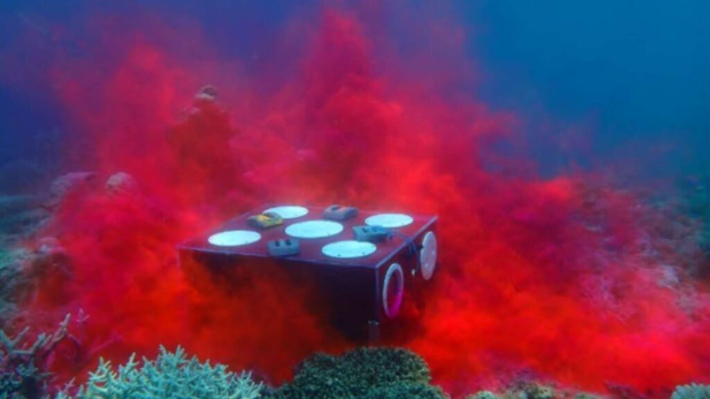 Corante rodamina se espalha lateral e verticalmente pelo ambiente aquático (Imagem: Christopher Doropoulos et al./ bioRxiv (2025))
