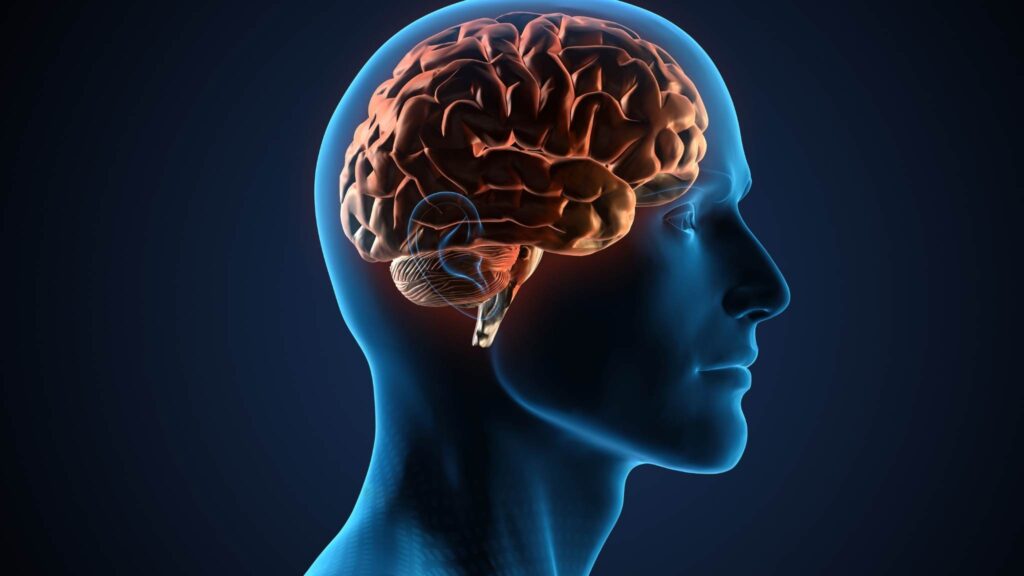 Seu cérebro pode sabotar a perda de peso sem você perceber. (Imagem: Getty Images/ Canva Pro)
