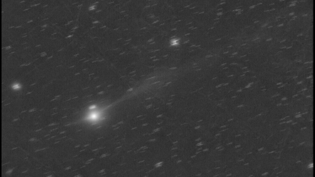 Nova imagem revela crescimento da cauda azul do cometa interestelar. (Imagem: Gianluca Masi/Projeto Telescópio Virtual)
