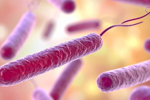 Bactéria Vibrio cholerae sobrevive em ambientes aquáticos. (Foto: TrueCreatives via Canva)