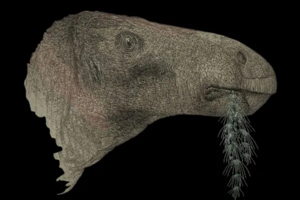 Ilustração de John Sibbick mostra o novo dinossauro Comptonatus. (Foto: John Sibbick )