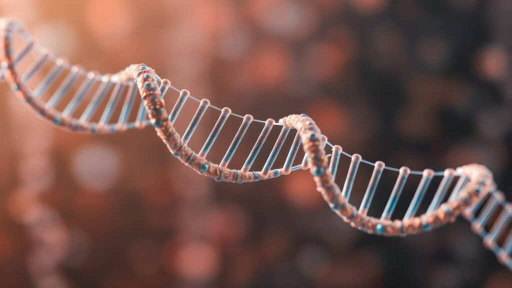 Gargalo genético e autofagia protegem mtDNA e evitam danos celulares. (Imagem: berkay08/ Canva Pro)
