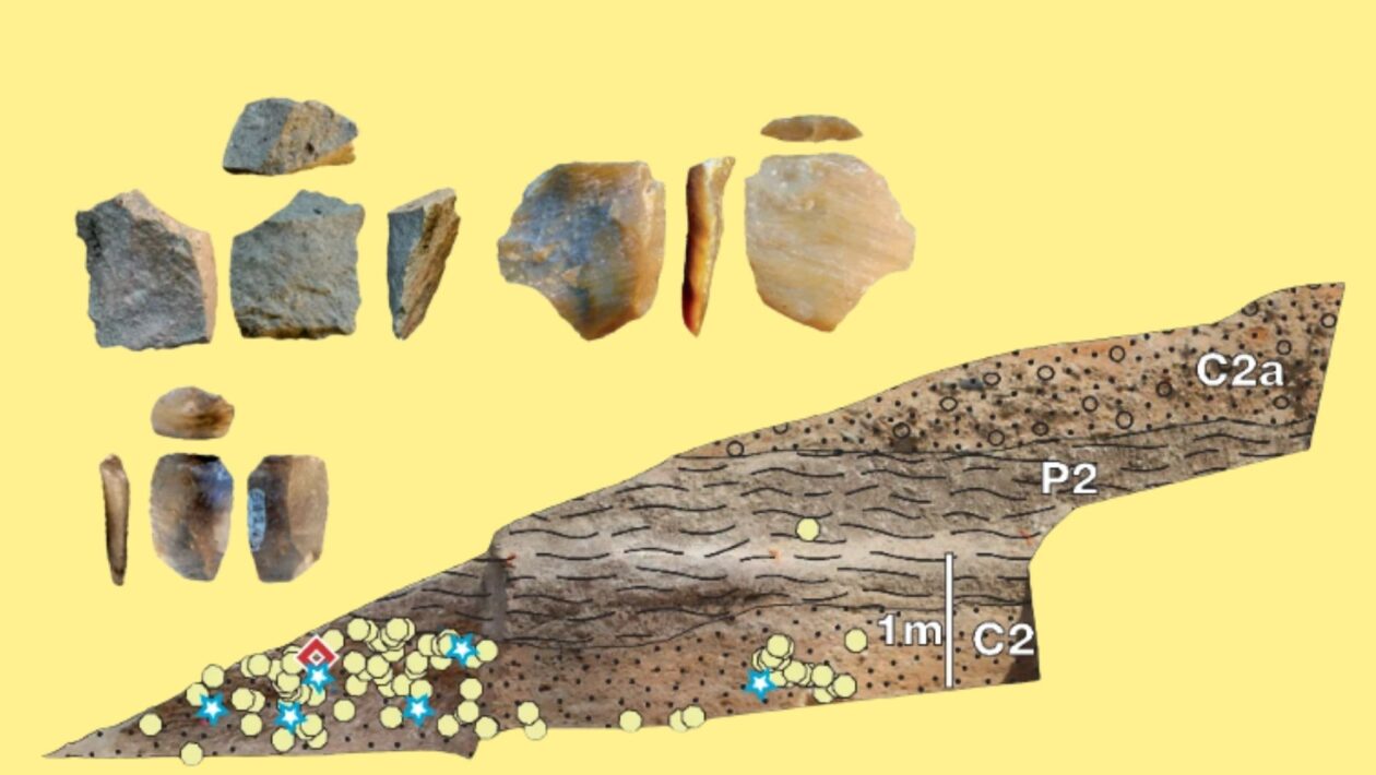 Horizonte NMT2 (2,60 Ma) revela domínio técnico e uso da calcedônia. (Foto: David R. Braun et al / Nature Communications)