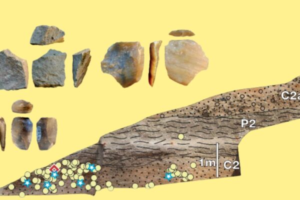 Horizonte NMT2 (2,60 Ma) revela domínio técnico e uso da calcedônia. (Foto: David R. Braun et al / Nature Communications)