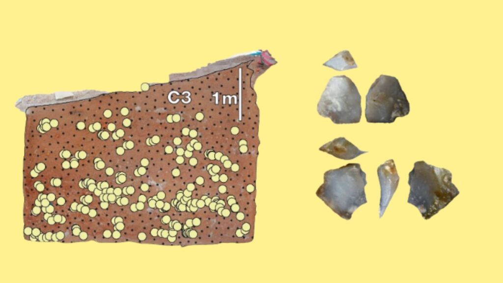 Horizonte NMT3 (2,44 Ma) mostra variedade de artefatos e precisão no corte. (Foto: David R. Braun et al / Nature Communications)