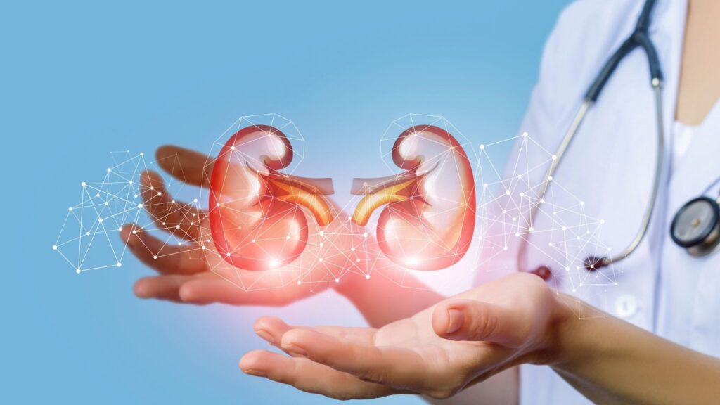 Falta de diagnóstico precoce agrava casos de insuficiência renal. Getty Images via Canva)