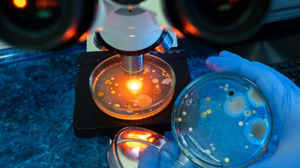 Evolução experimental revela como bactérias driblam medicamentos raros (Imagem: Pixabay/ Canva Pro)
