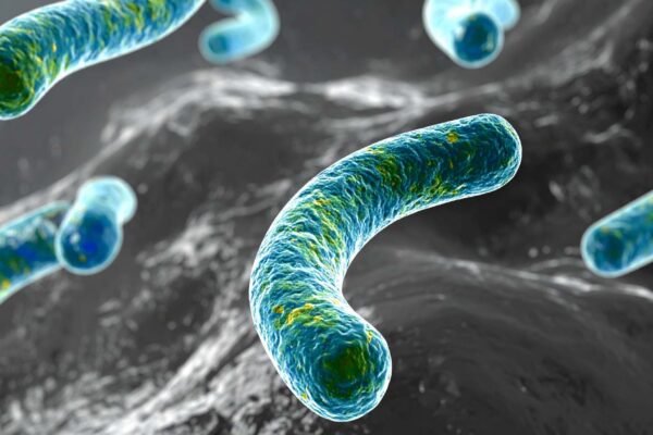 Cientistas mapeiam mutações que tornam A. baumannii resistente a antibióticos (Images: TrueCreatives/ Canva Pro)