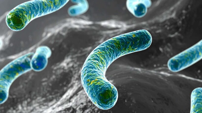 Cientistas mapeiam mutações que tornam A. baumannii resistente a antibióticos (Images: TrueCreatives/ Canva Pro)
