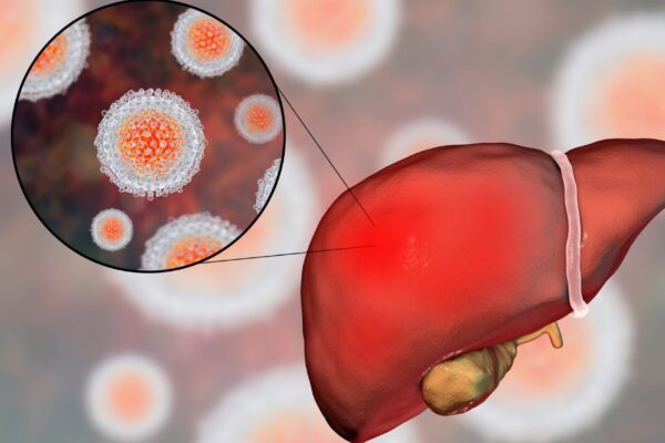 Alguns remédios comuns podem causar danos ao fígado. (Foto: Science Photo Library via Canva)