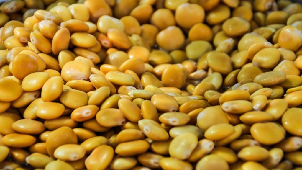 Tremoço fornece ácidos graxos insaturados e protege o coração. (Foto: Getty Images via Canva)