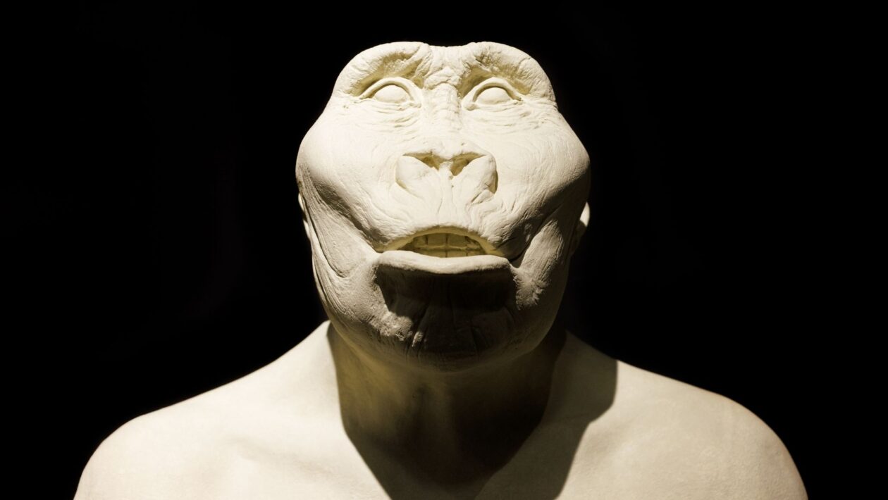 Descoberta redefine habilidades manuais do P. boisei. (Foto: Bepslabor via Canva)