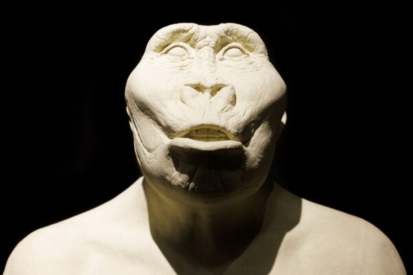 Descoberta redefine habilidades manuais do P. boisei. (Foto: Bepslabor via Canva)