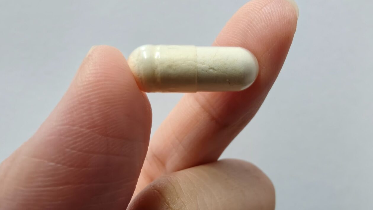 Prebióticos fortalecem o cérebro e a memória após os 60. (Foto: DesignNFMR via Canva)