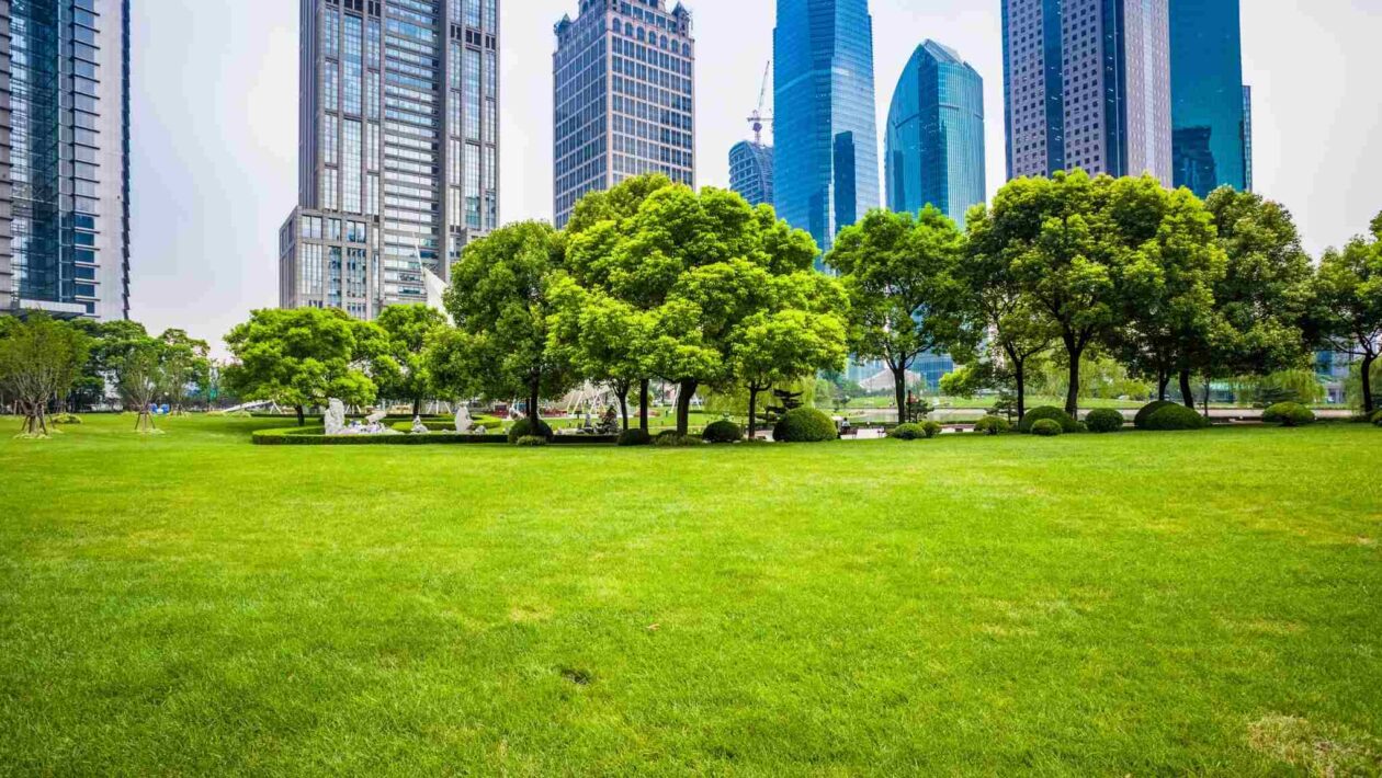Gramados urbanos ajudam a medir emissões de CO₂ em cidades (Imagem: Getty Images/ Canva Pro)