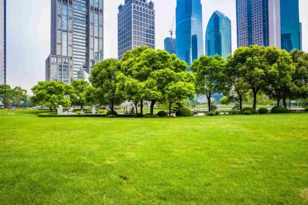 Gramados urbanos ajudam a medir emissões de CO₂ em cidades (Imagem: Getty Images/ Canva Pro)