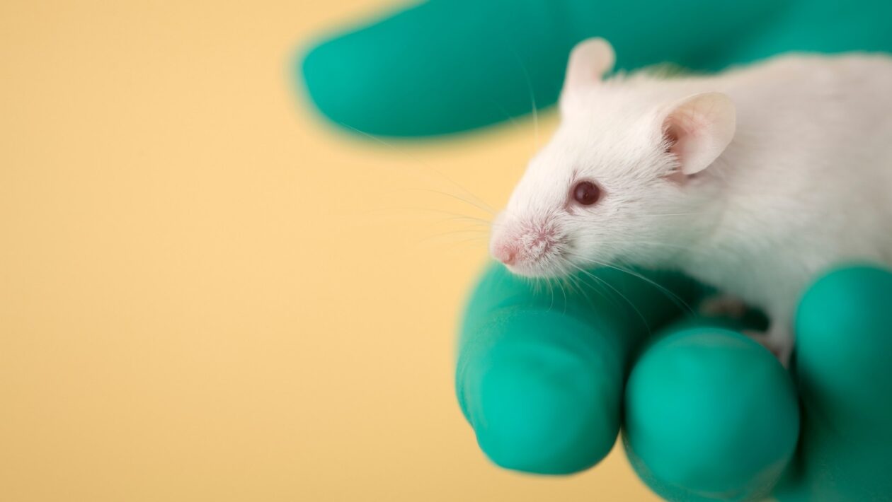 IA e bioimpressão 3D podem substituir animais em testes médicos. (Imagem: Getty Images/ Canva Pro)