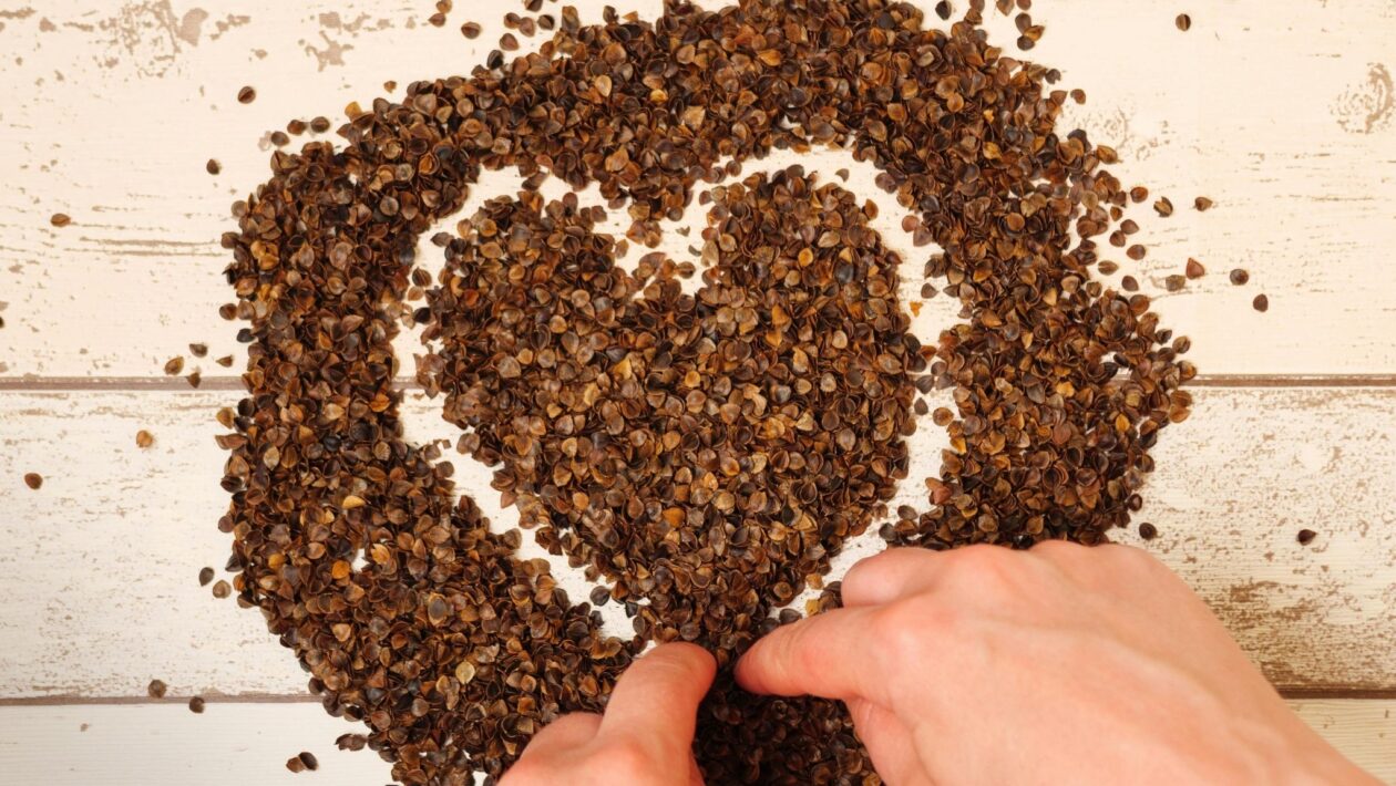 Trigo Sarraceno Tártaro rejuvenesce o sistema imunológico. (Foto: Pexels via Canva)