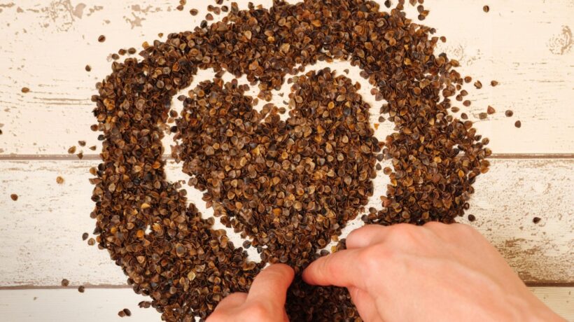 Trigo Sarraceno Tártaro rejuvenesce o sistema imunológico. (Foto: Pexels via Canva)