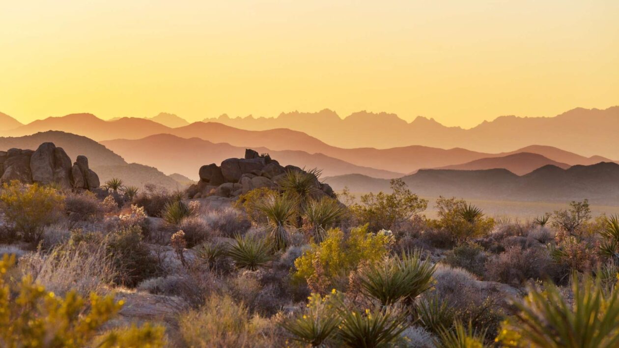 Solo do Arizona afunda até 15 cm por ano, alerta especialistas (Imagem: Kamchatka via Canva)