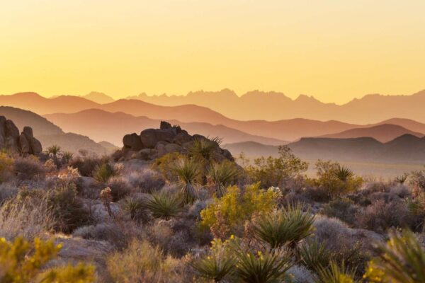 Solo do Arizona afunda até 15 cm por ano, alerta especialistas (Imagem: Kamchatka via Canva)