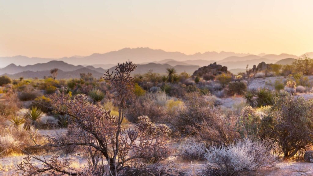 Extração intensa de água compromete aquíferos e terreno no Arizona (Imagem: Kamchatka via Canva)
