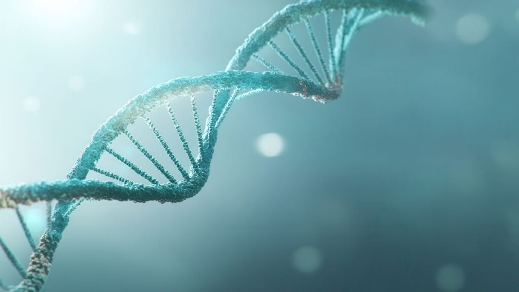 Consumo frequente de ultraprocessados afeta expressão gênica. (Foto: Alphaspirit via Canva)