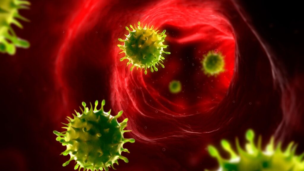 04_A06 impede o vírus de se ligar às células humanas. (Foto: Science Photo Library via Canva)